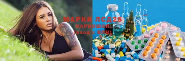 гашик Вязники
