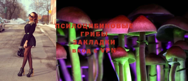 гашик Вязники