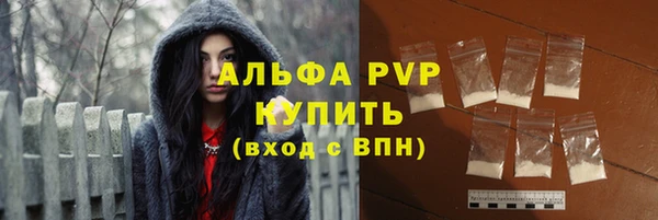 гашик Вязники