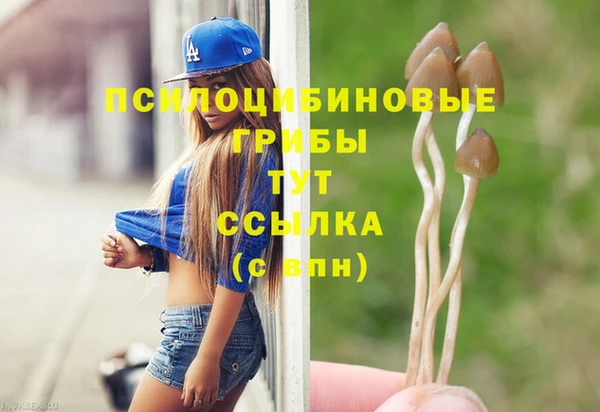 герыч Вяземский